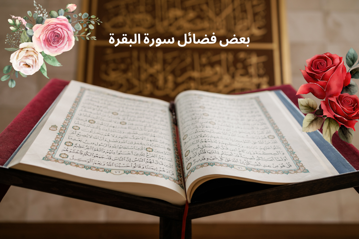 بعض فضائل سورة البقرة