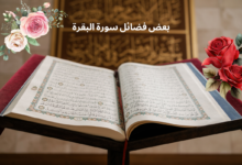 بعض فضائل سورة البقرة